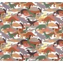 jersey dino Katia Fabrics