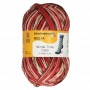 6214 winter lights color Regia 6 fils 