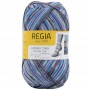 3881 Regia Design Line par Arne&Carlos 4 ply/fädig/fils