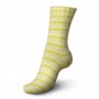CITRON 2424 Regia cotton tutti frutti 4 fils