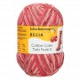GRENADE 2422 Regia cotton tutti frutti 4 fils