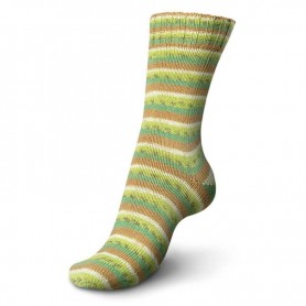 pastèque 2421 Regia cotton tutti frutti 4 fils