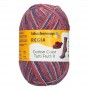 RAISIN 2423 Regia cotton tutti frutti 4 fils