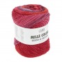217 MILLE COLORI SOCKS par LANG YARNS