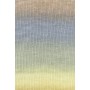 005 Move 6Ply de Lang Yarns 