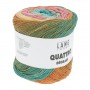 06 Quattro Dégradé de Lang Yarns