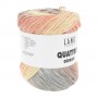 21 Quattro Dégradé de Lang Yarns