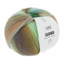016 Cloud de Lang Yarns