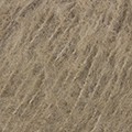 84 camel