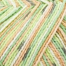 kiwi 2418