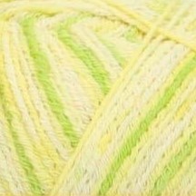 citron 2424